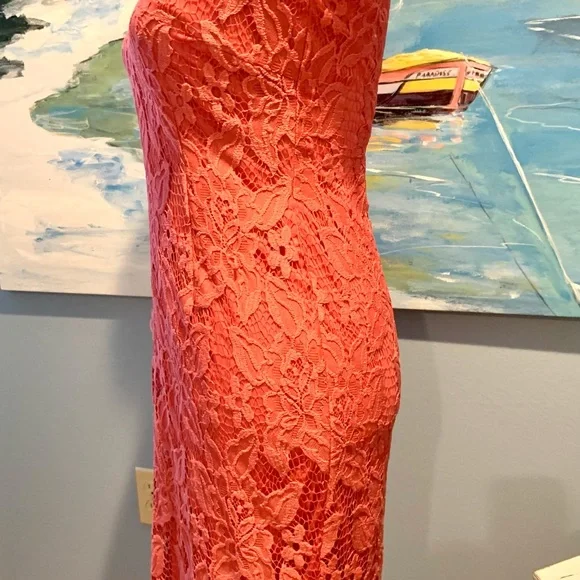 Adriana Papell Coral Lace Over-Lay Dress - Picture 6 of 7